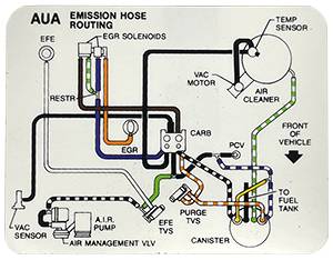 Emission Decal at Hose ROuting | 1981 Camaro | Jim Osborn Reproductions | 41204