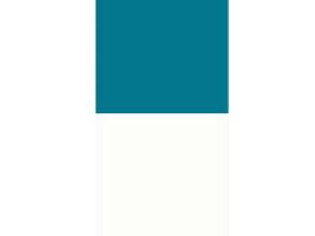 CARS - Ivory/Turquoise Seat Cover - Image 1