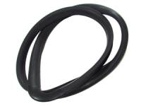 Cargo Door Glass Seal