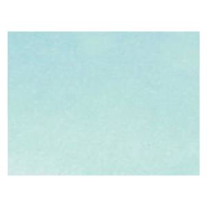 Exterior Parts & Trim - Glass - Windshields